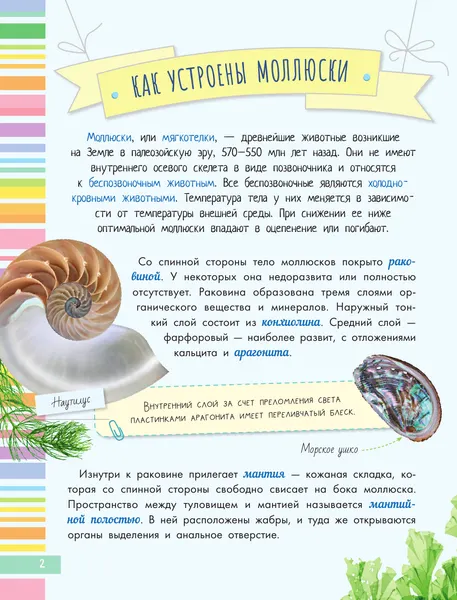 Изображение товара Энциклопедия АСТ Невероятные моллюски (Тихонов А. 9785171577575)