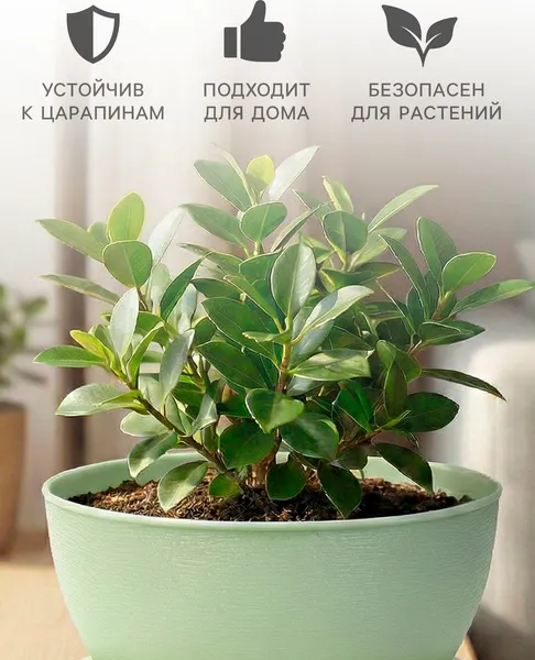 Изображение товара Кашпо Sima-Land Фиалочка 10953363