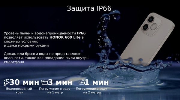 Изображение товара Смартфон HONOR 600 Lite 8GB/256GB (пустынный золотой)