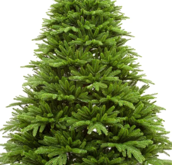 Изображение товара Ель искусственная Winter Fun UM24808-150CM