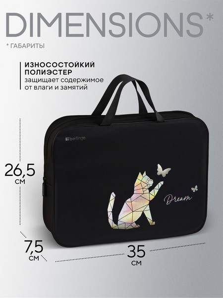 Изображение товара Папка-портфель Berlingo Dream / FB-EXA-1213