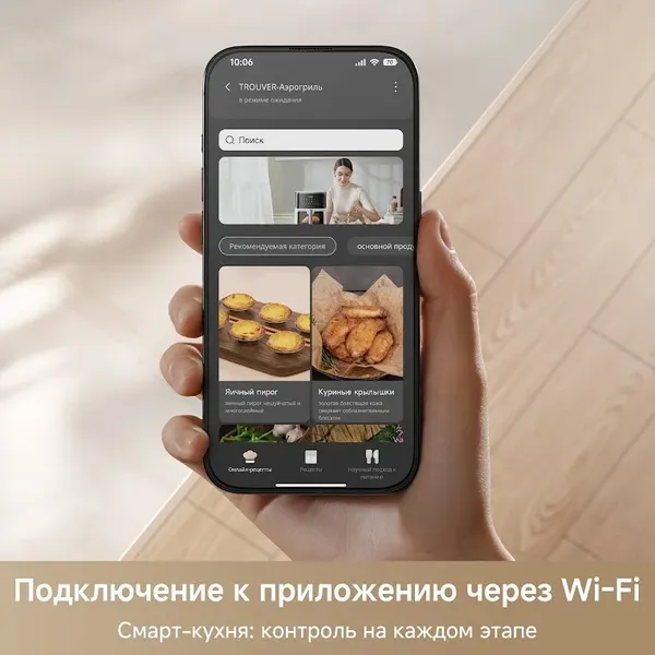 Изображение товара Аэрогриль Trouver FD10 Pro Max (черный)