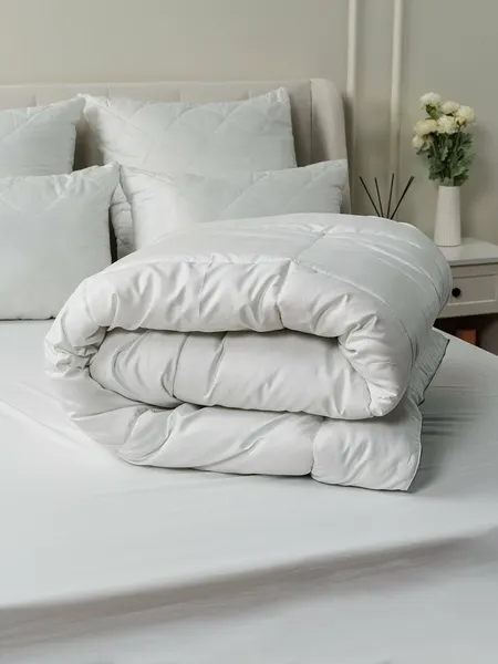 Изображение товара Одеяло АЭЛИТА Камасутра 3x3 Теплое 200x220 (белый)