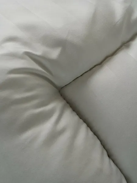 Изображение товара Одеяло АЭЛИТА Камасутра 3x3 Теплое 200x220 (белый)