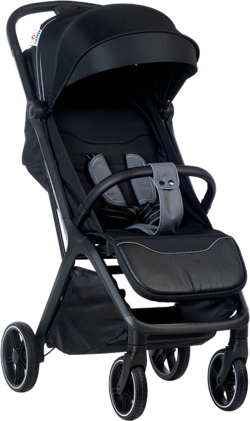 Изображение товара Детская прогулочная коляска Babyhit Santour BS103 (черный)