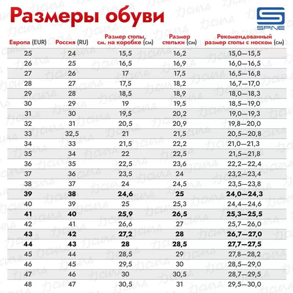 Изображение товара Ботинки для беговых лыж Spine Smart 357 NNN / 17920 (р-р 45)
