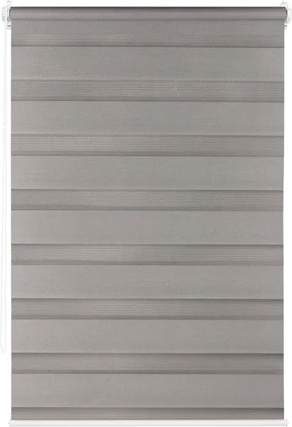 Изображение товара Рулонная штора Franc Gardiner Day&Night 65x160 / 9403220249 (темно-серый)