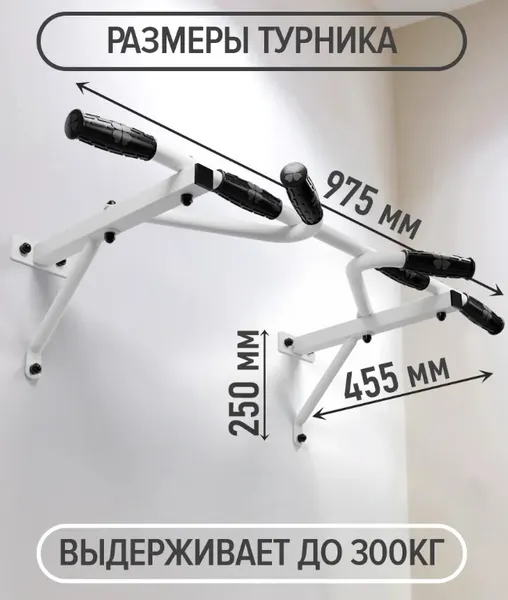 Изображение товара Турник Absolute Champion Актив №3 / АЧ15205 (белый)