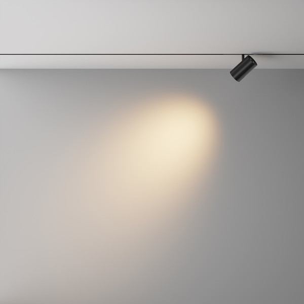 Изображение товара Трековый светильник Maytoni Focus Led Exility X TR243-4-12WTW-DD2-B
