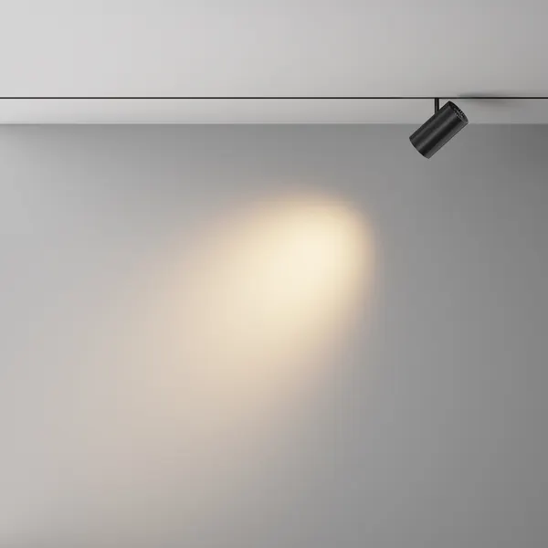 Изображение товара Трековый светильник Maytoni Focus Led Exility X TR243-4-18WTW-DSZ-B