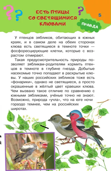 Изображение товара Энциклопедия АСТ А правда, что... (Альтшулер В., Малов В., Косенкин А. 9785171653705)
