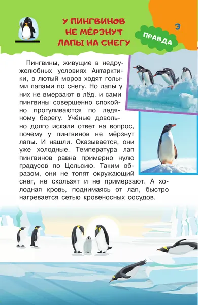 Изображение товара Энциклопедия АСТ А правда, что... (Альтшулер В., Малов В., Косенкин А. 9785171653705)