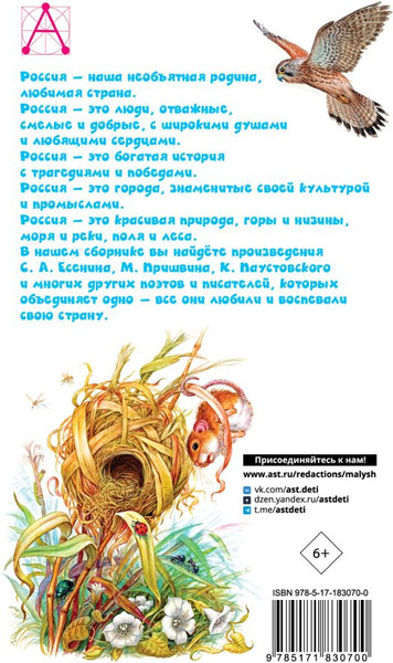 Изображение товара Художественная книга АСТ Стихи и рассказы о Родине (Барто А., Паустовский К. 9785171830700)