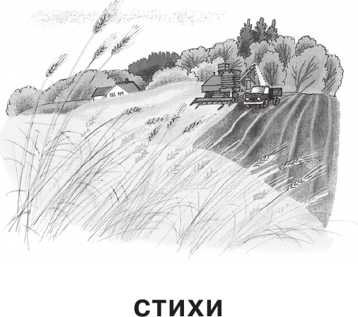 Изображение товара Художественная книга АСТ Стихи и рассказы о Родине (Барто А., Паустовский К. 9785171830700)