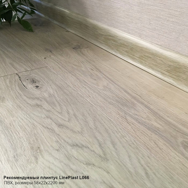 Изображение товара Ламинат Egger Comfort Classic Дуб Муром EC2834