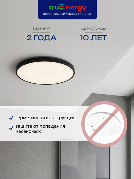 Изображение товара Потолочный светильник Truenergy 11619
