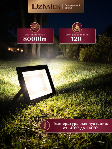 Изображение товара Прожектор DzivaTek 53124