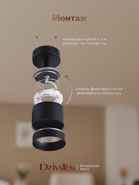Изображение товара Спот DzivaTek 61028