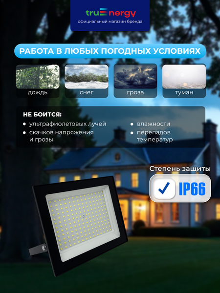 Изображение товара Прожектор Truenergy 13125