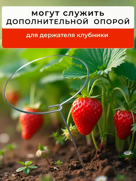 Изображение товара Набор опор для растений ARTELIKA В саду 30см (40шт)