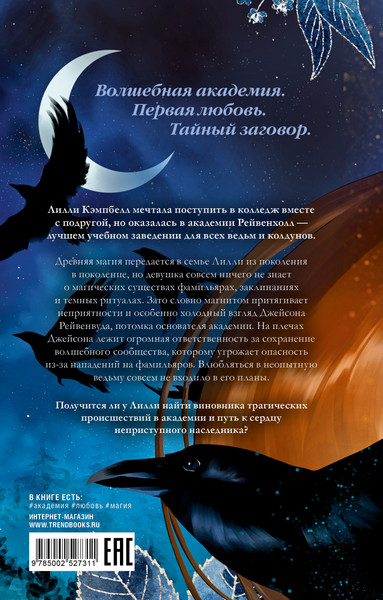 Изображение товара Художественная книга CLEVER Академия Рейвенхолл. Тайная магия (Кун Д. 9785002527311)
