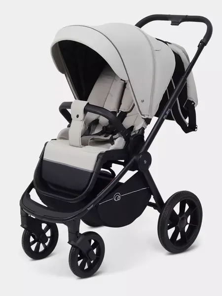 Изображение товара Детская универсальная коляска Rant Flex 2в1/ RA076 (Stone)