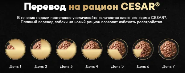 Изображение товара Влажный корм для собак Cesar с говядиной, паприкой, шпинатом в соусе (80г)
