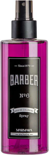 Одеколон после бритья Marmara Barber № 6 Spray (250мл) — фото 3