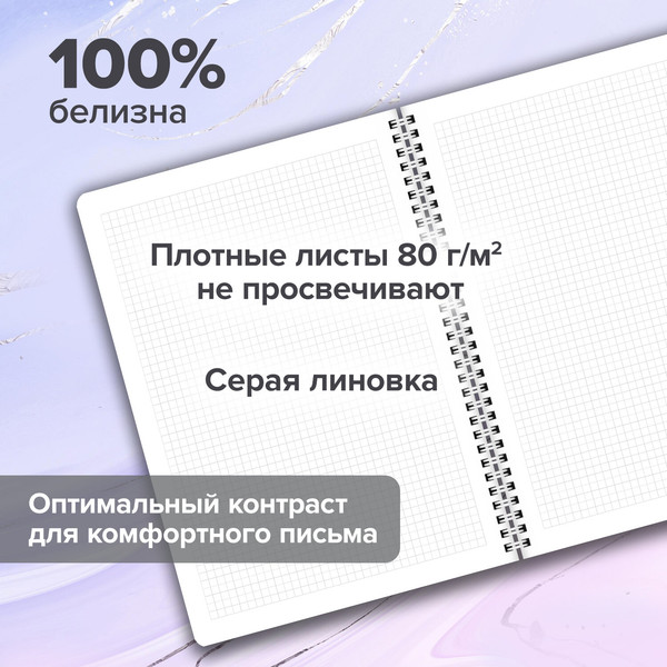 Изображение товара Набор тетрадей Brauberg Minimal / 405585 (2шт)