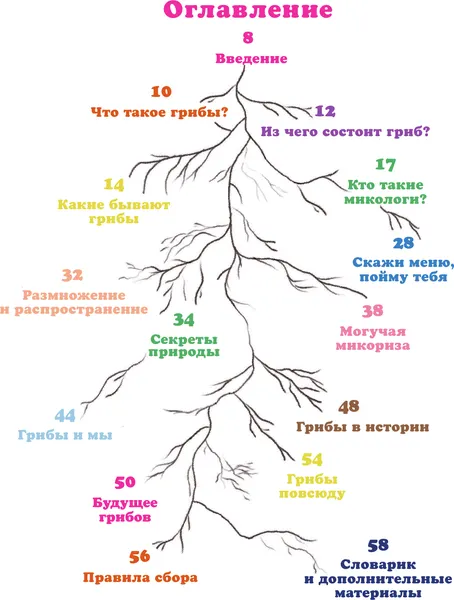 Изображение товара Энциклопедия АСТ Царство грибов (Москатти О. 9785171846152)