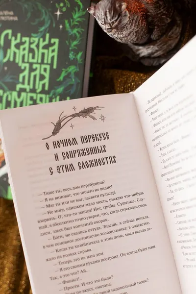 Изображение товара Художественная книга МИФ Сказка для Несмеяны (Селютина Алена)