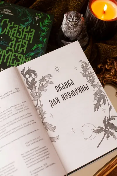 Изображение товара Художественная книга МИФ Сказка для Несмеяны (Селютина Алена)