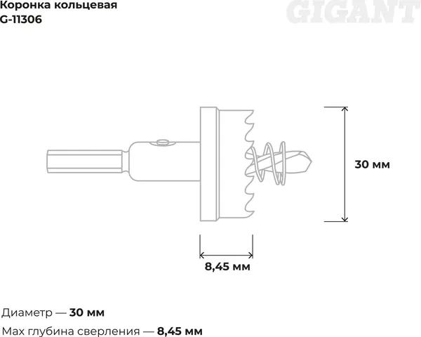 Изображение товара Коронка Gigant G-11306