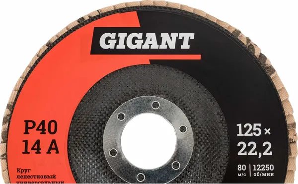 Изображение товара Набор шлифовальных кругов Gigant GRF-120-10 (10шт)