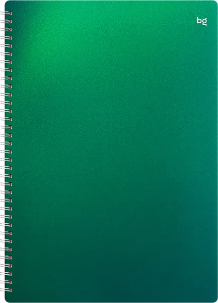 Изображение товара Тетрадь BG Хамелеон / Т4гр80_пл 57817 (80л, зеленый)