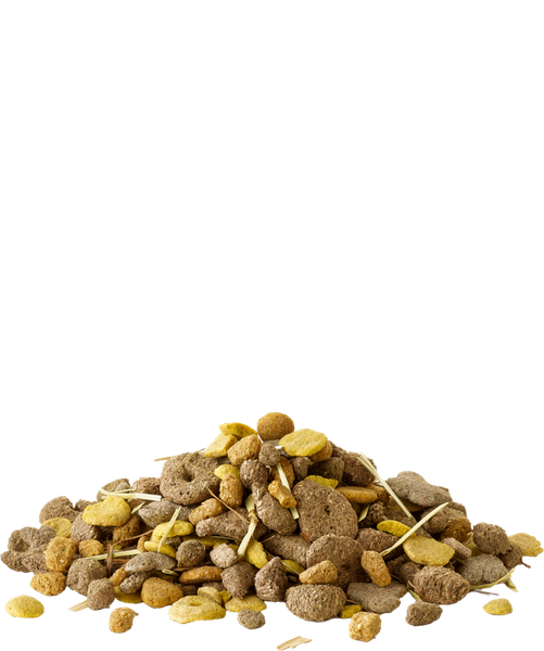 Корм для грызунов Versele-Laga Crispy Snack Fibres / 461814 (12.5кг) — фото 6