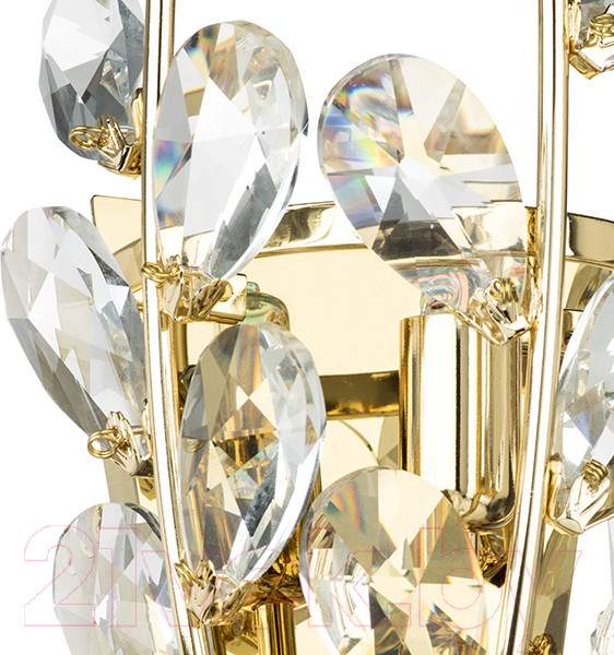 Изображение товара Бра Lightstar Isabelle 791612