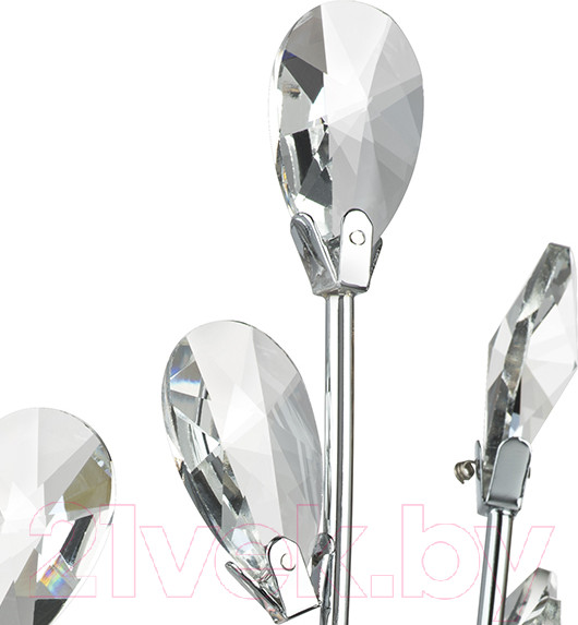 Изображение товара Бра Lightstar Isabelle 791614