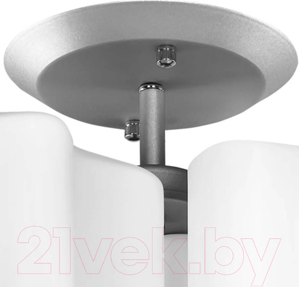 Изображение товара Люстра Lightstar Nubi 802030