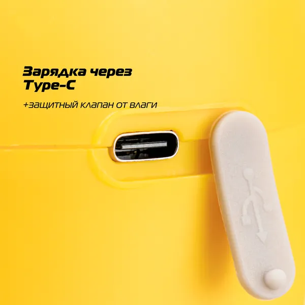 Изображение товара Опрыскиватель аккумуляторный Champion SA2L