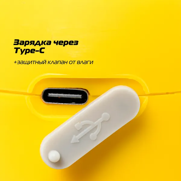 Изображение товара Опрыскиватель аккумуляторный Champion SA2L/1