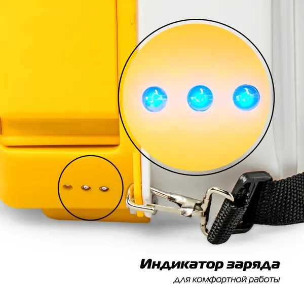 Изображение товара Опрыскиватель аккумуляторный Champion SA5L/1