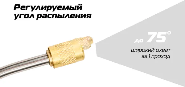 Изображение товара Опрыскиватель аккумуляторный Champion SA5L/1