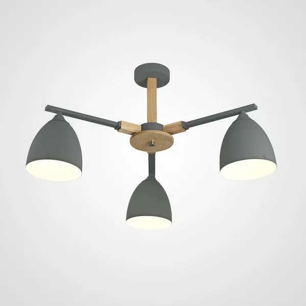 Изображение товара Люстра Imperiumloft Noa01 / 101838-26
