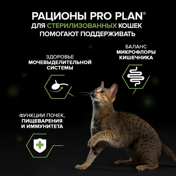 Изображение товара Влажный корм для кошек Pro Plan от 7 лет Паштет с индейкой (75г)