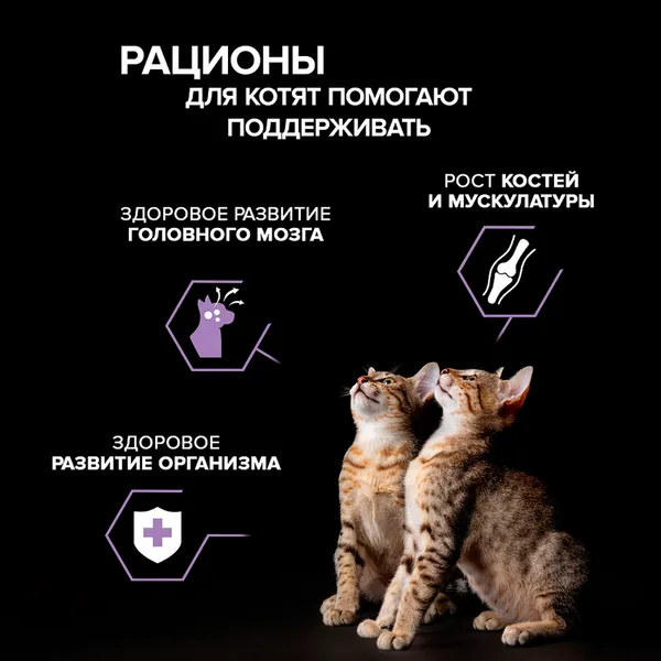 Изображение товара Влажный корм для кошек Pro Plan Паштет с индейкой (75г)