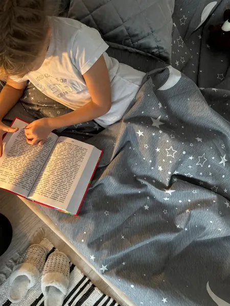 Изображение товара Комплект постельного белья Samsara Звездное небо на сером фоне 200-3/5070