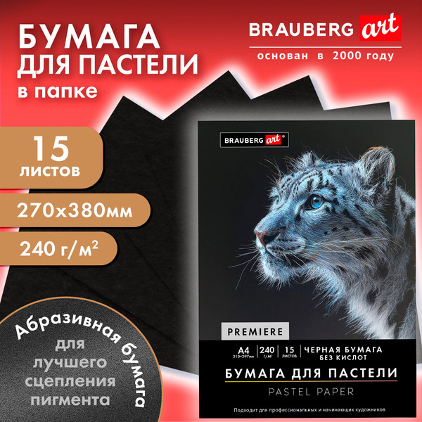 Изображение товара Набор бумаги для рисования Brauberg Art / 117766 (15л, черный)