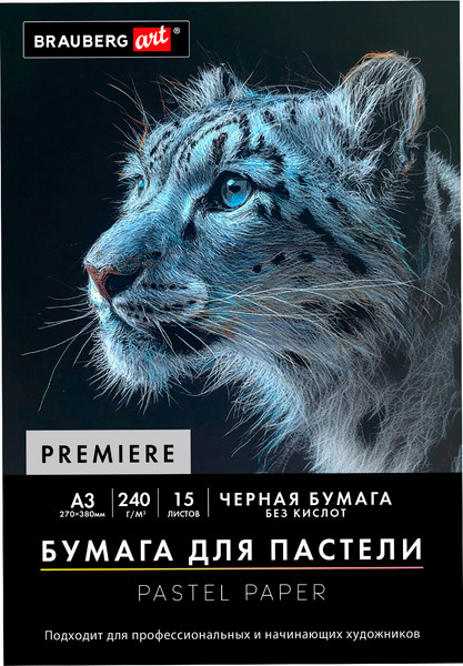 Изображение товара Набор бумаги для рисования Brauberg Art / 117766 (15л, черный)