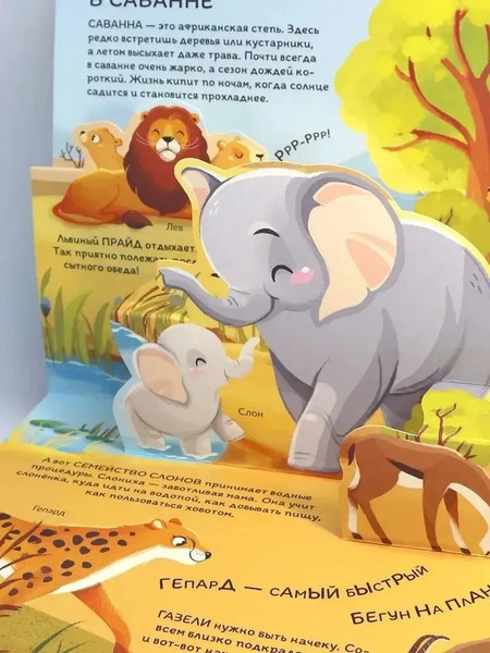 Изображение товара Набор развивающих книг Malamalama Почемучка (6шт)